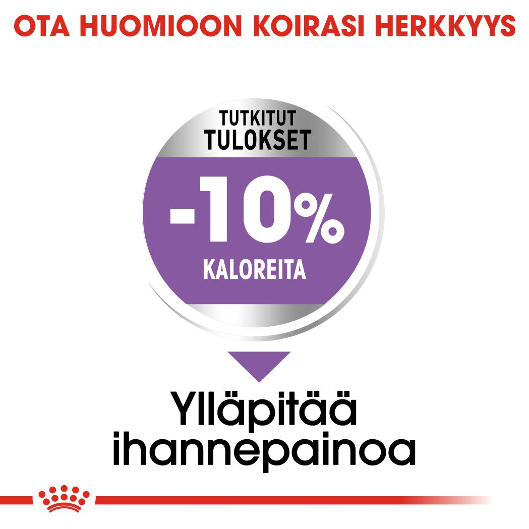 Medium Sterilised Adult