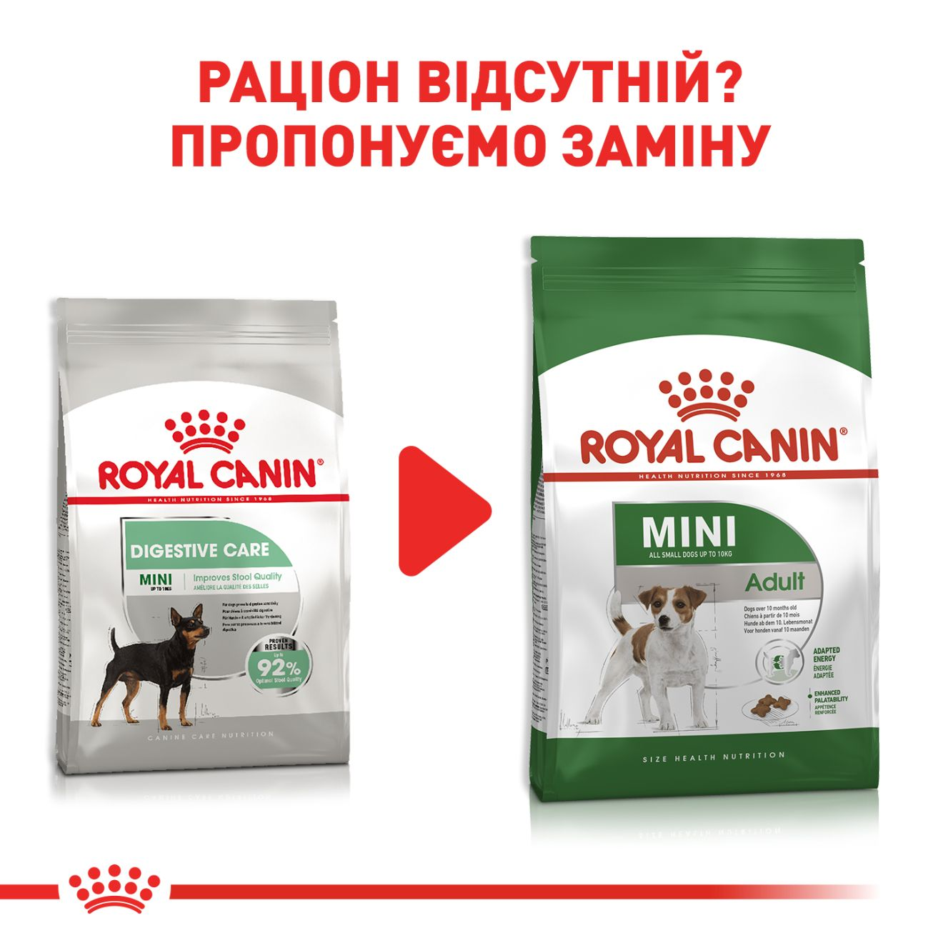 Royal canin mini outlet digestive