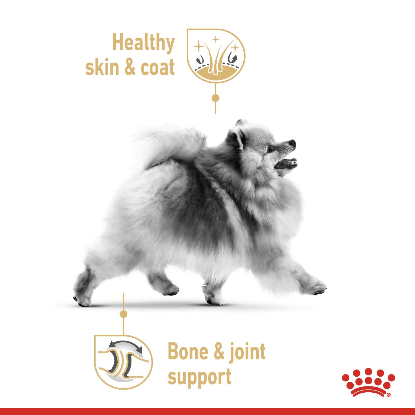 อาหารสุนัขโต พันธุ์ปอมเมอเรเนียน ชนิดเม็ด (POMERANIAN ADULT)