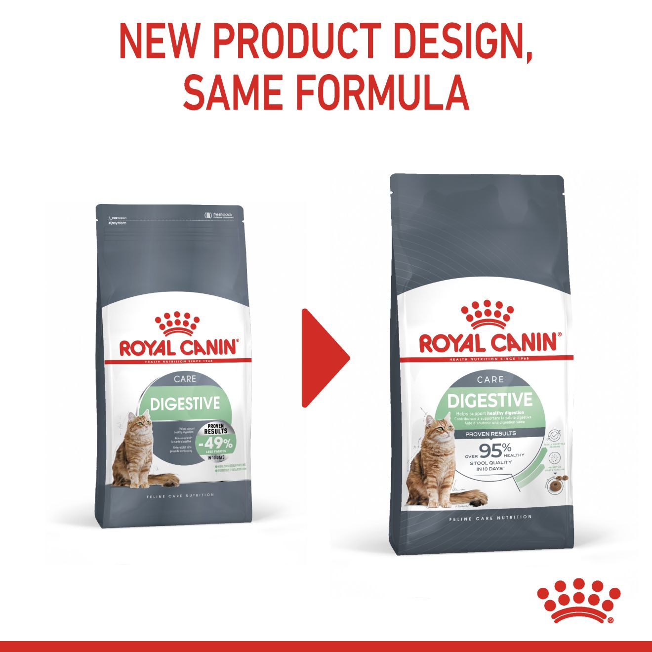 Best digestive food for cats best sale