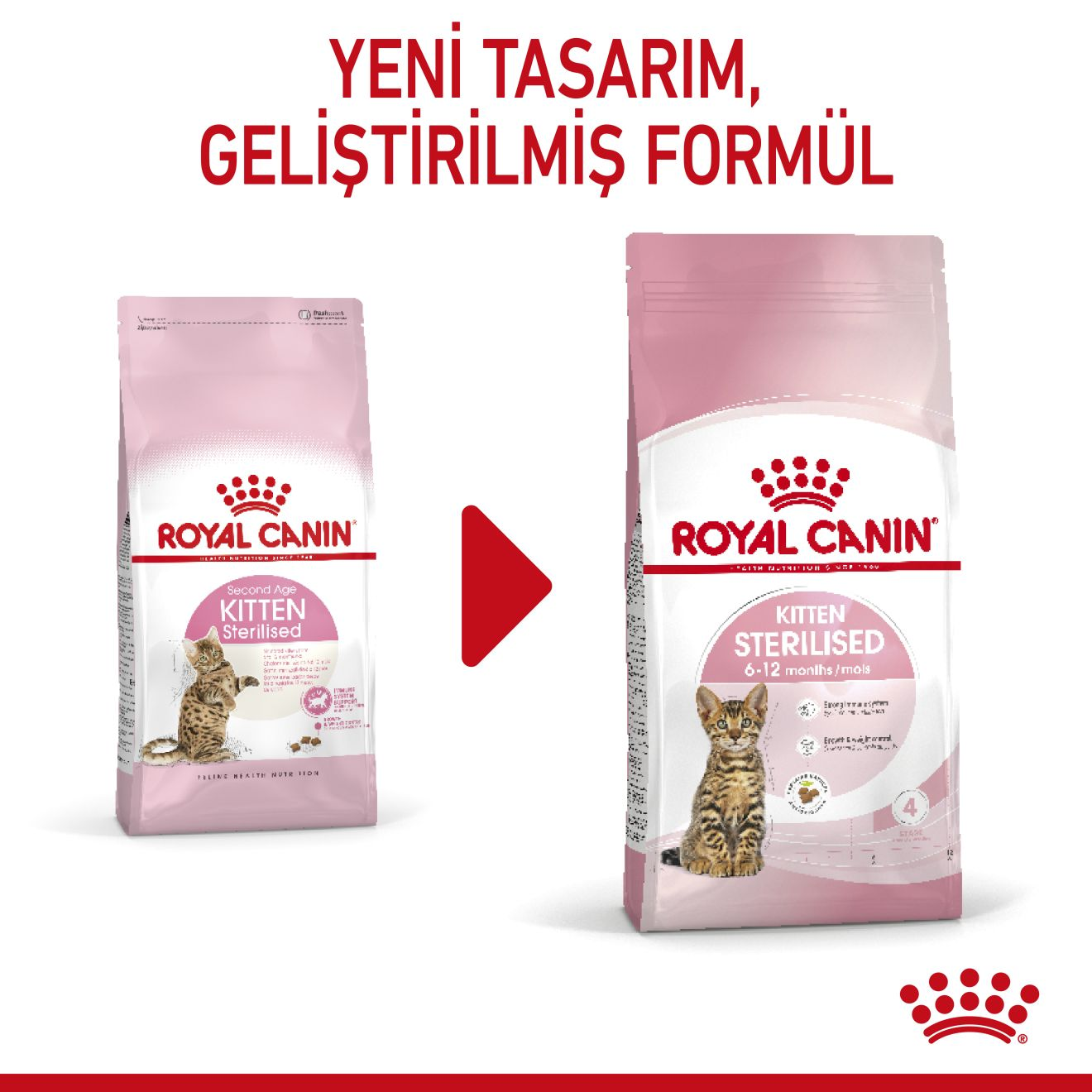 Royal canin kitten store sterilised 4 kg