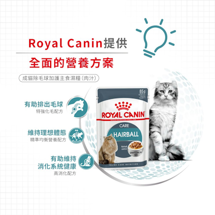 Royal-Canin-_成貓除毛球加護主食濕糧_正方形_HK_03