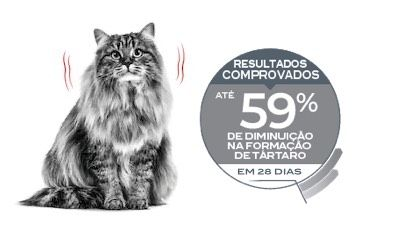 Emblematic of cat with dental sensitivity and associated proven results