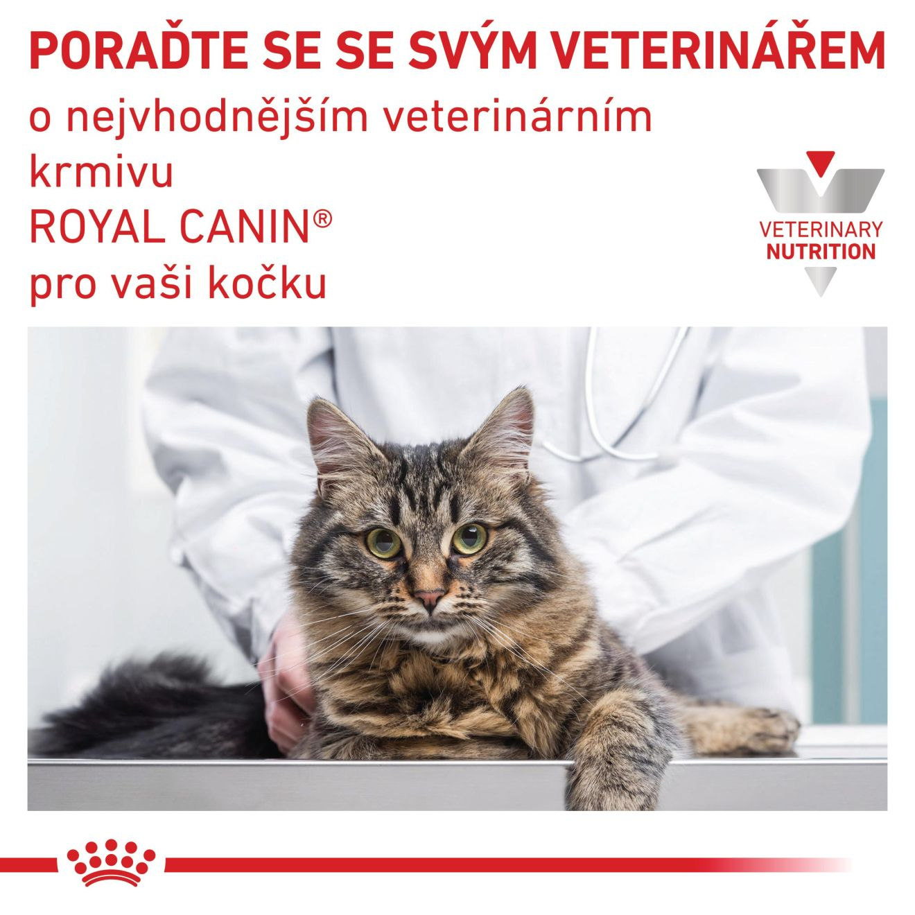 Urinary S/O - paštika 
