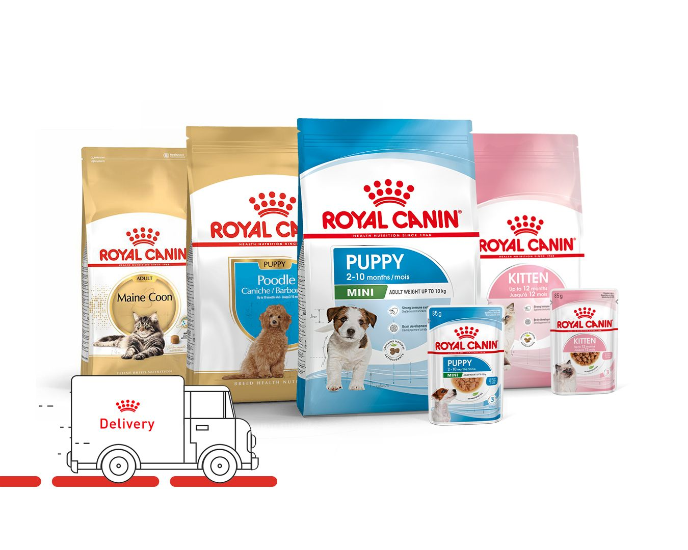 online mağaza ürün görseli