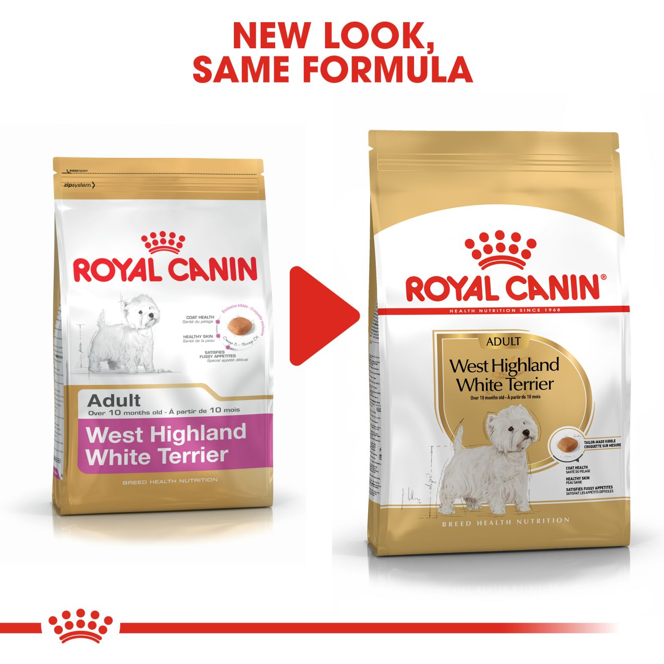 west highland white terrier royal canin
