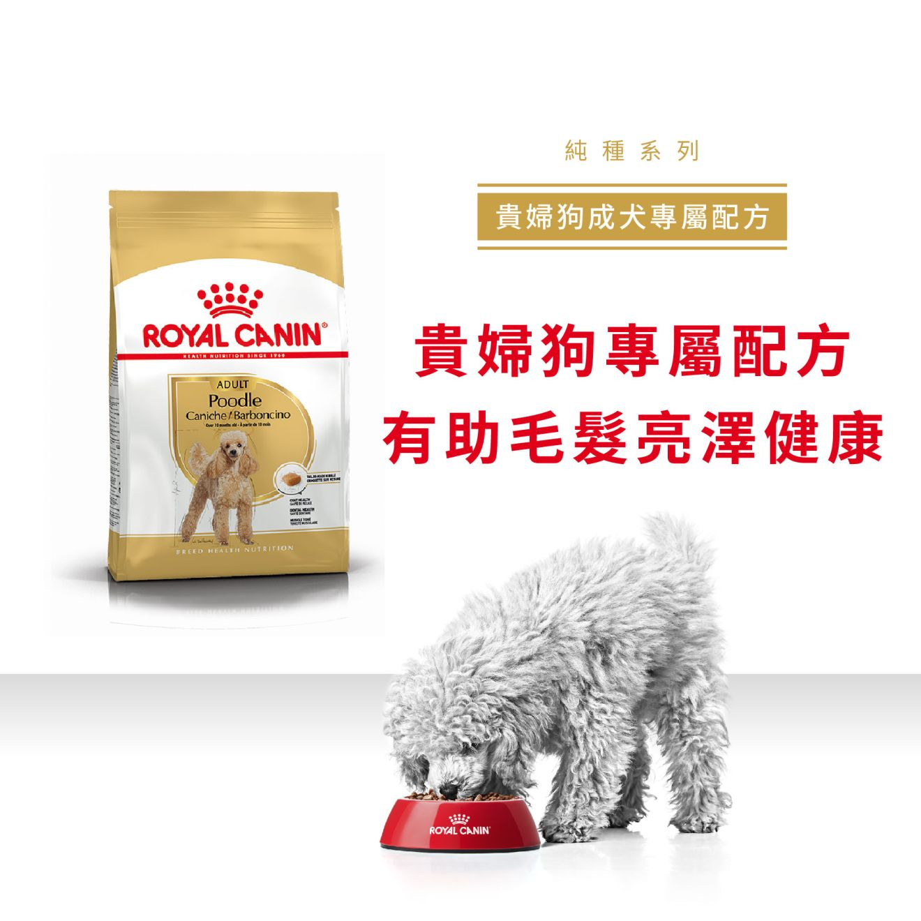 BHN 貴婦狗成犬專屬配方