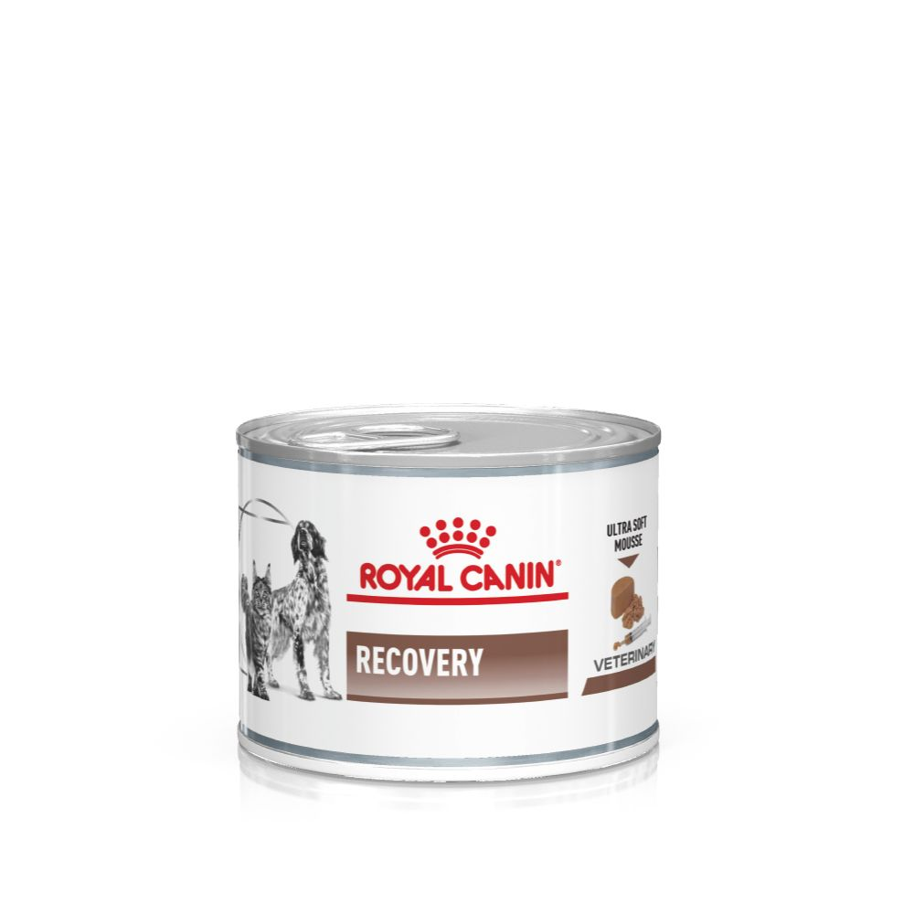 RECOVERY  ULTRA SOFT MOUSSE