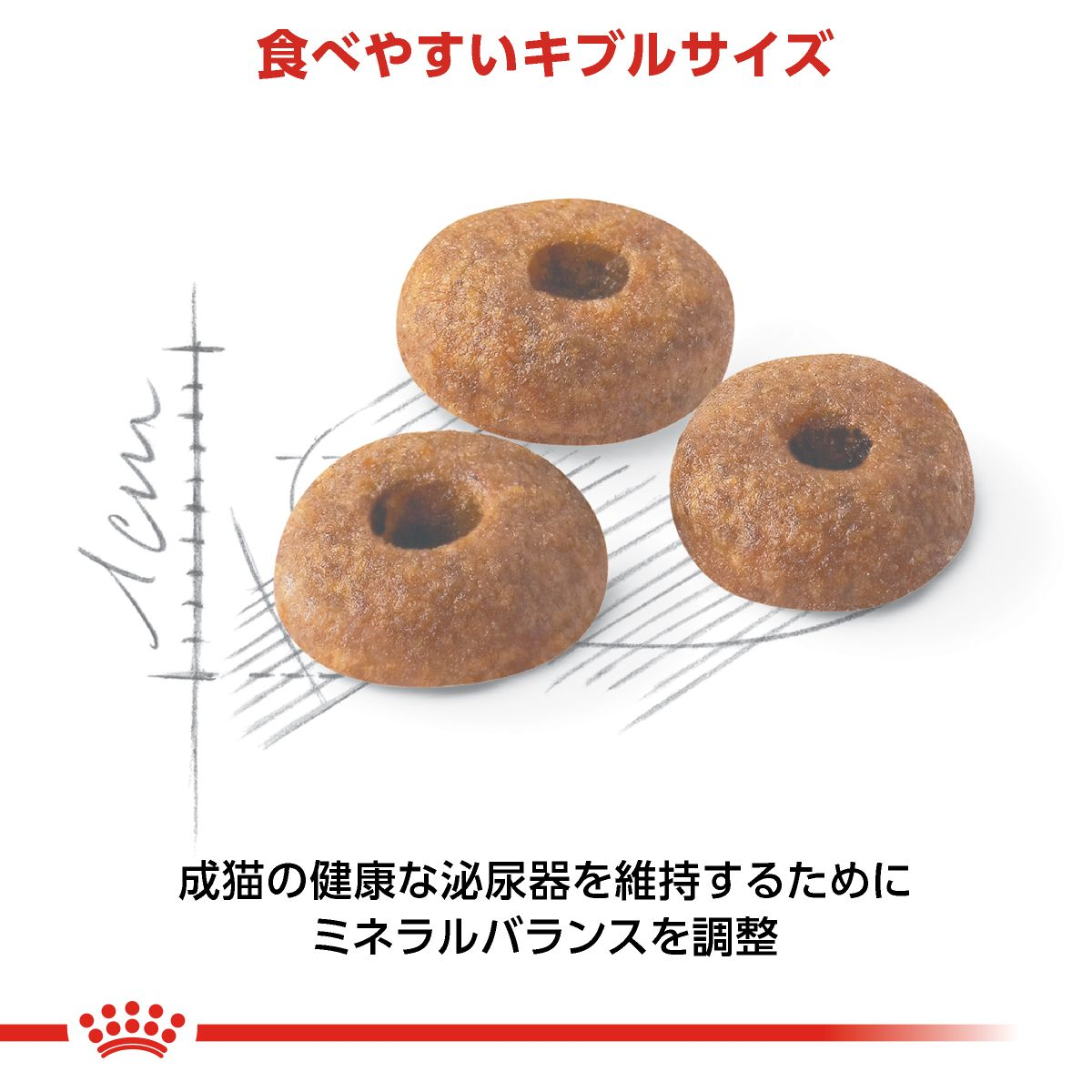 フィット