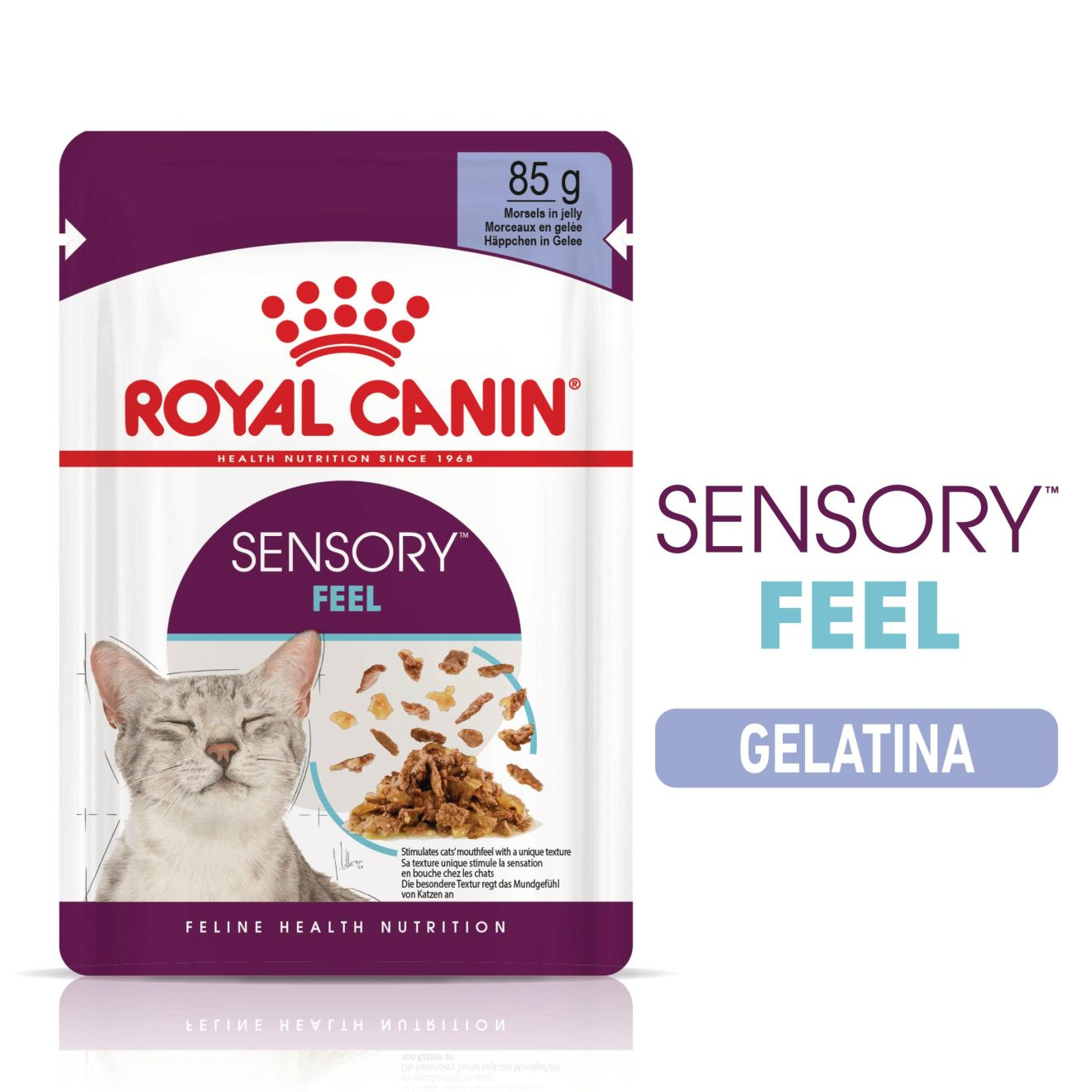 SENSORY™ FEEL straccetti in gelatina