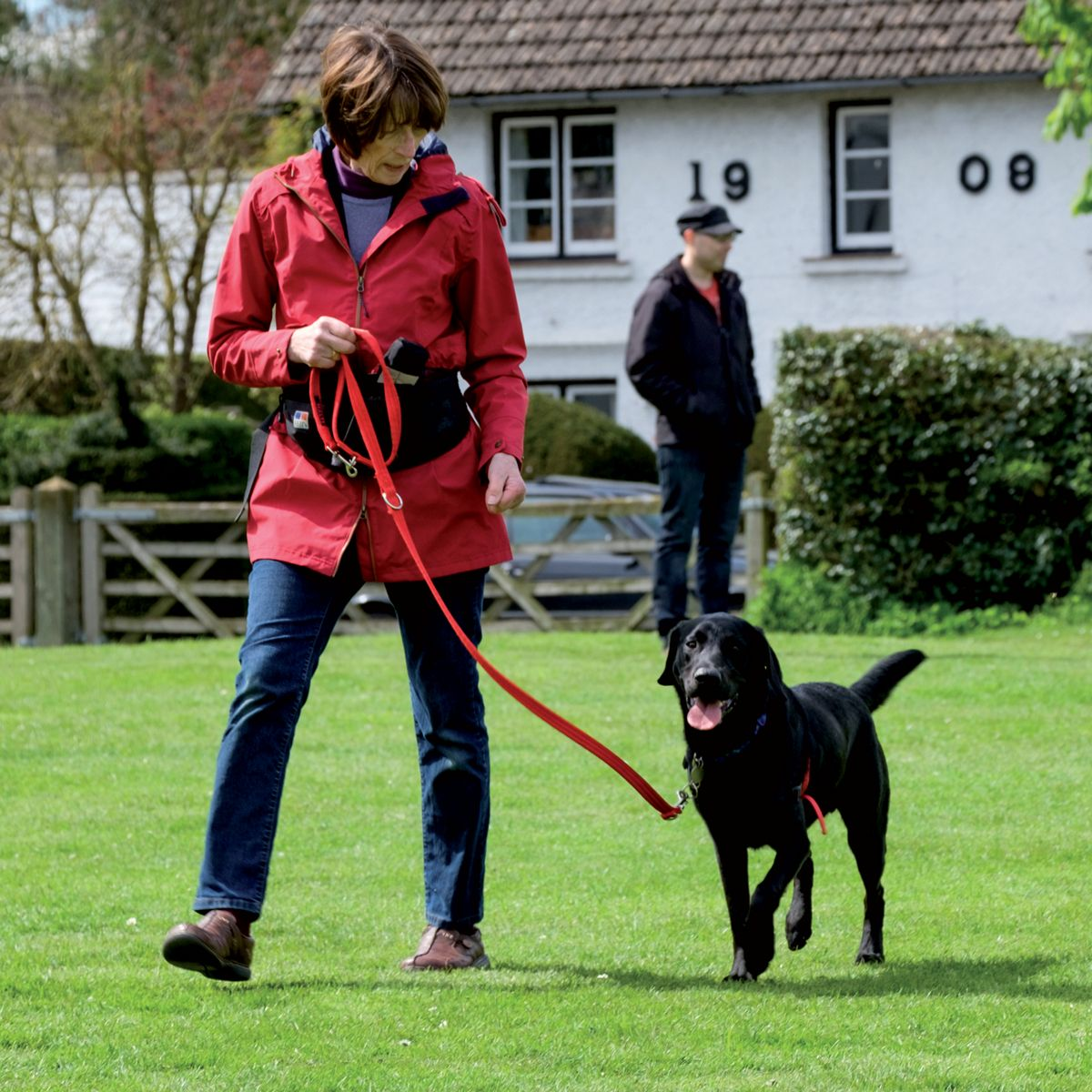 Correct position for loose-lead walking training; only walk forwards when the dog is at your side and the leash is loose.