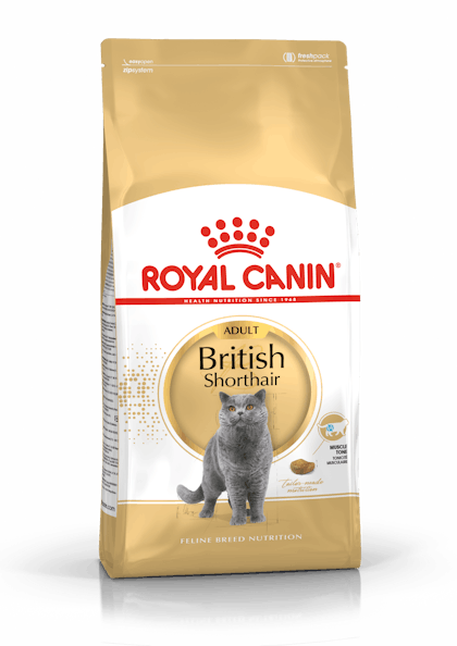 FBN2016_PACKSHOT_BRITISH SHORTHAIR_ADULT