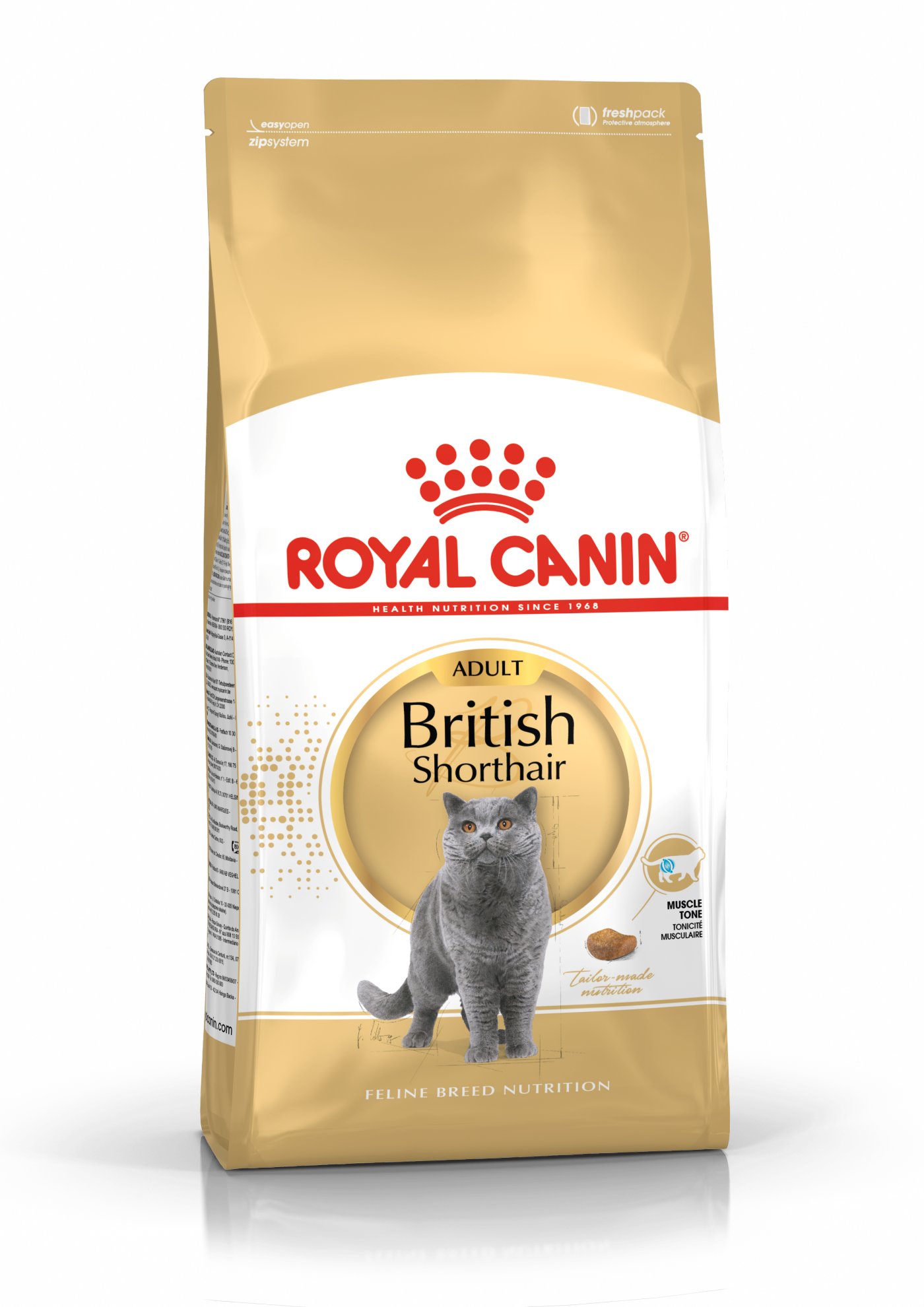 British shorthair kitten Dry - Royal Canin