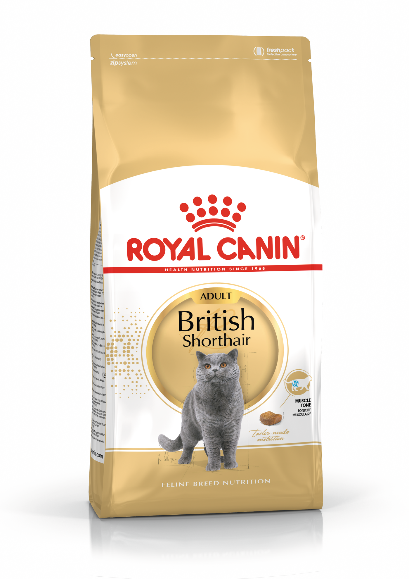 Royal canin 2025 shorthair kitten