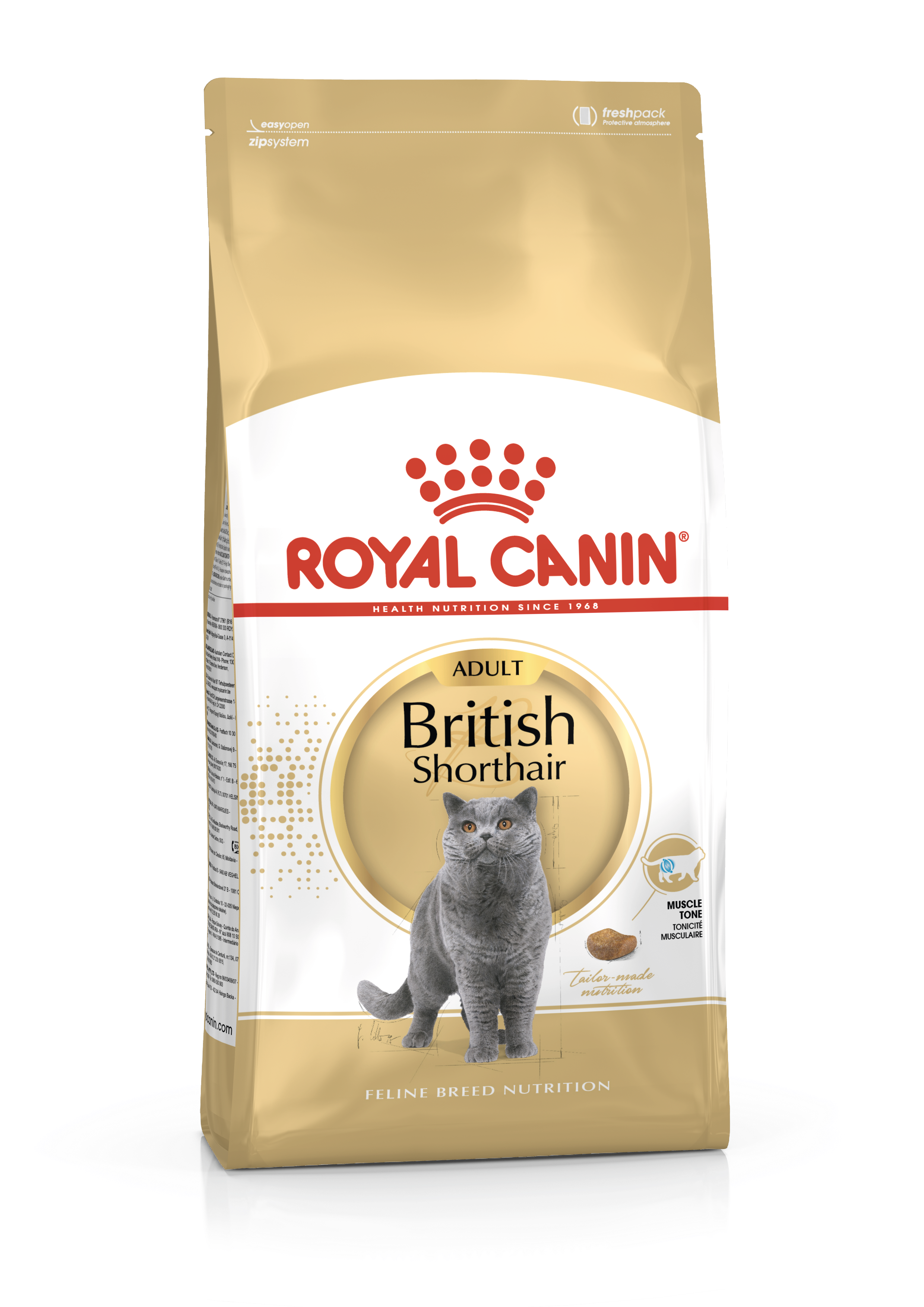 British Shorthair Adult Dry Royal Canin