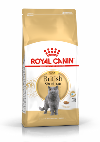 Royal Canin British Shorthair Adult kuivtoit