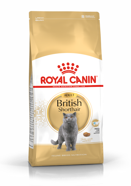 FBN2016_PACKSHOT_BRITISH SHORTHAIR_ADULT