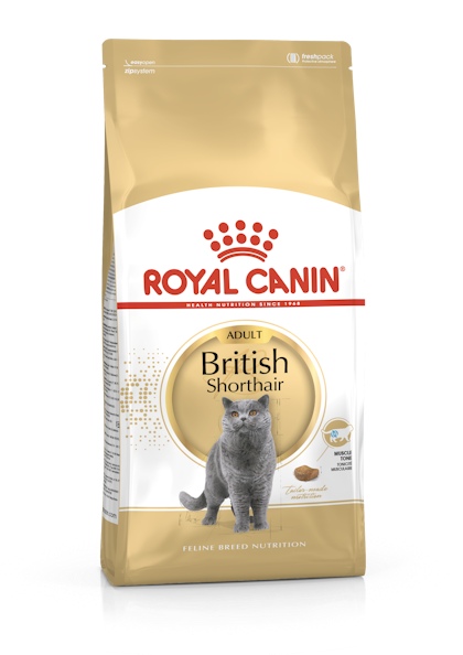 British Shorthair Adult Trocken Royal Canin