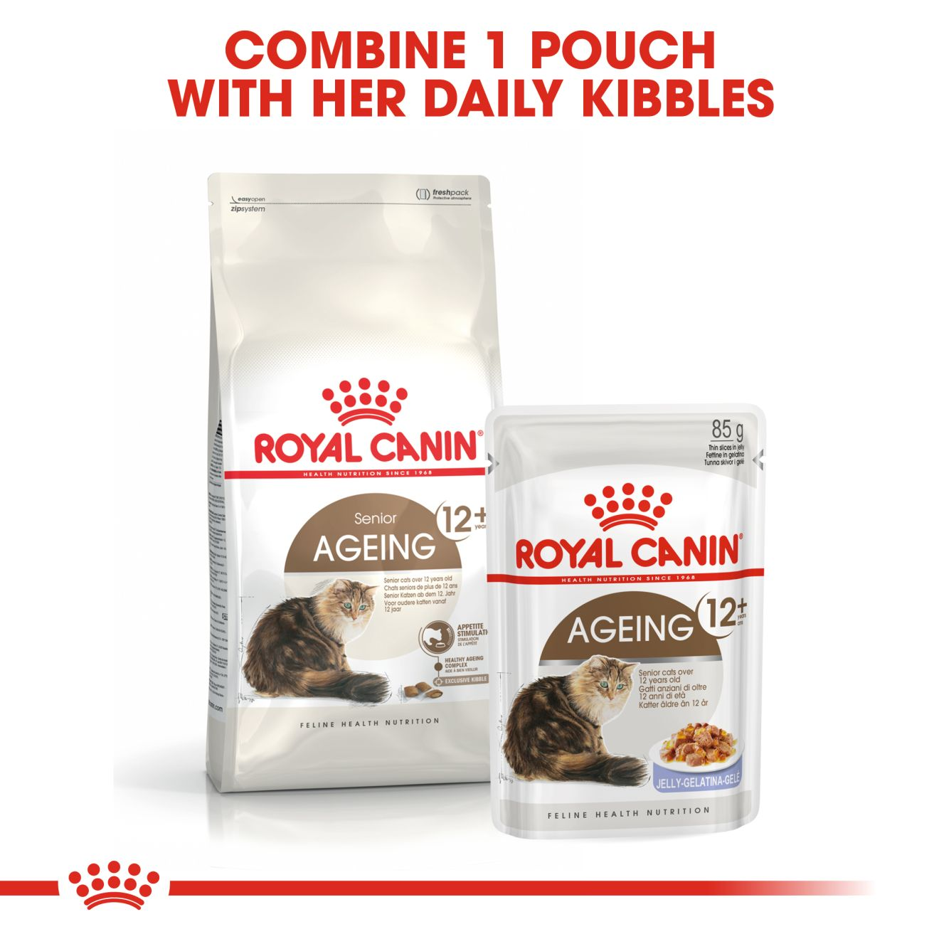 royal canin ageing 12 cat food 4kg