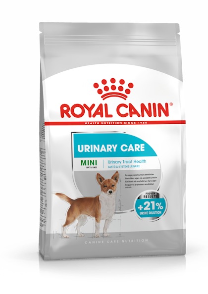 Dog food for outlet uti problems