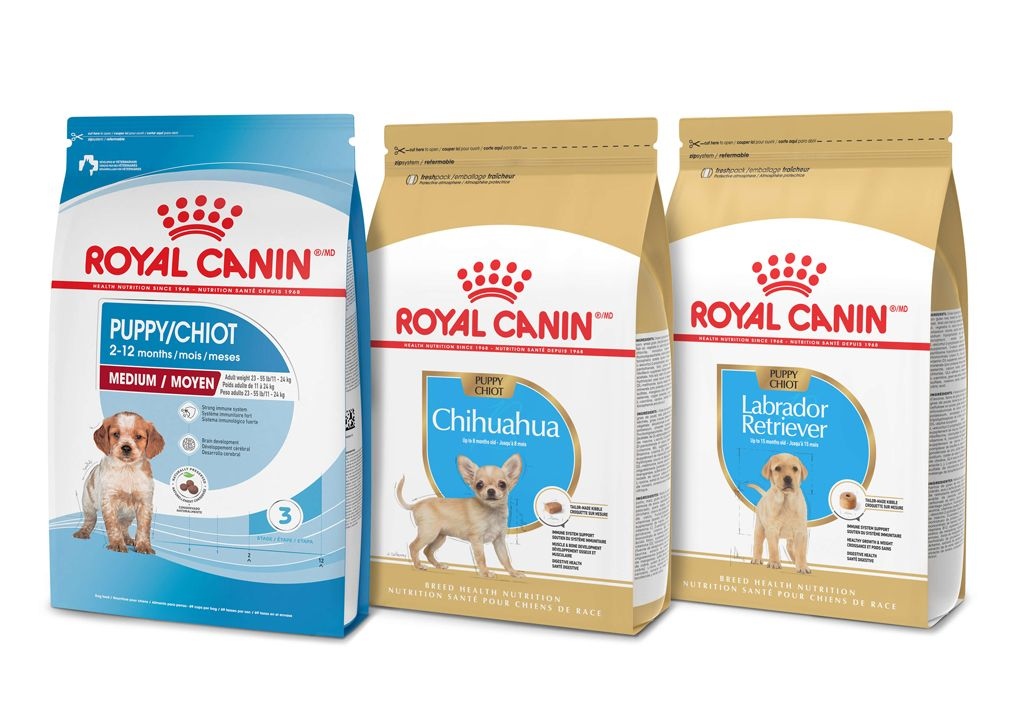 Palacio de los niños hacerte molestar Facilitar Tailored Health Nutrition For Cats & Dogs | Royal Canin US
