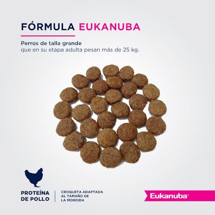 Eukanuba Senior Large Breed - Senior Talla Grande