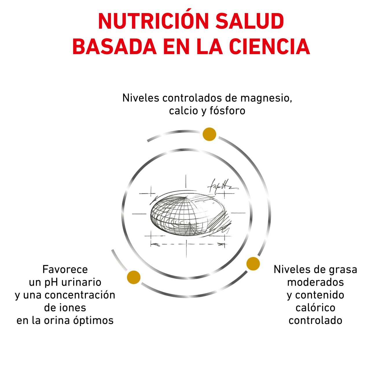 Urinary S/O Moderate Calorie