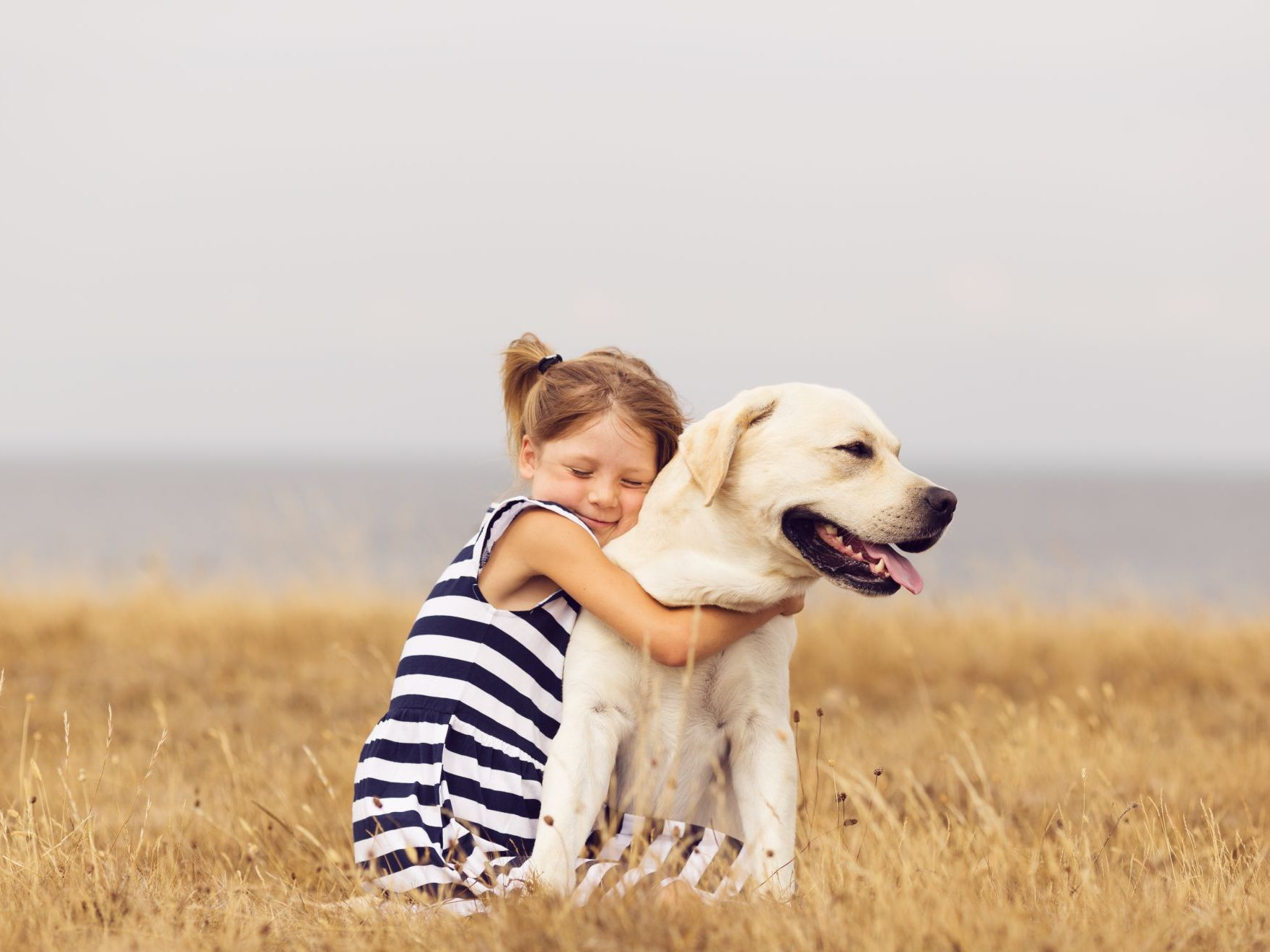 un enfant avec un grand labrador blanc