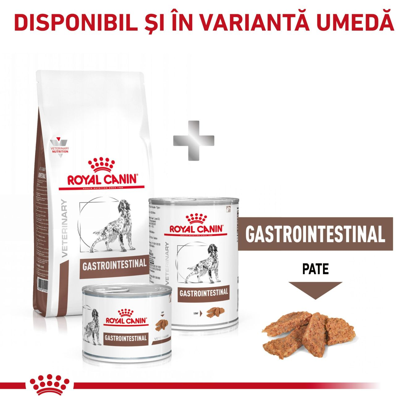 GASTROINTESTINAL