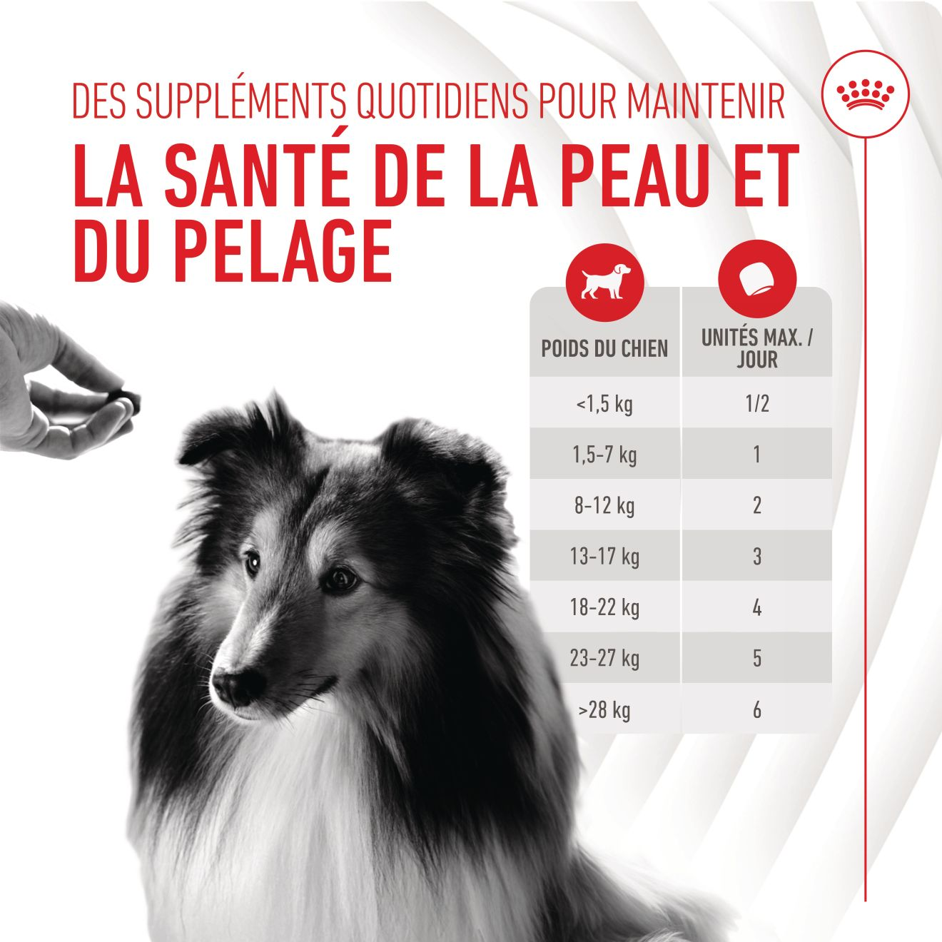 Aliment complémentaire Skin & Coat Chews pour chien