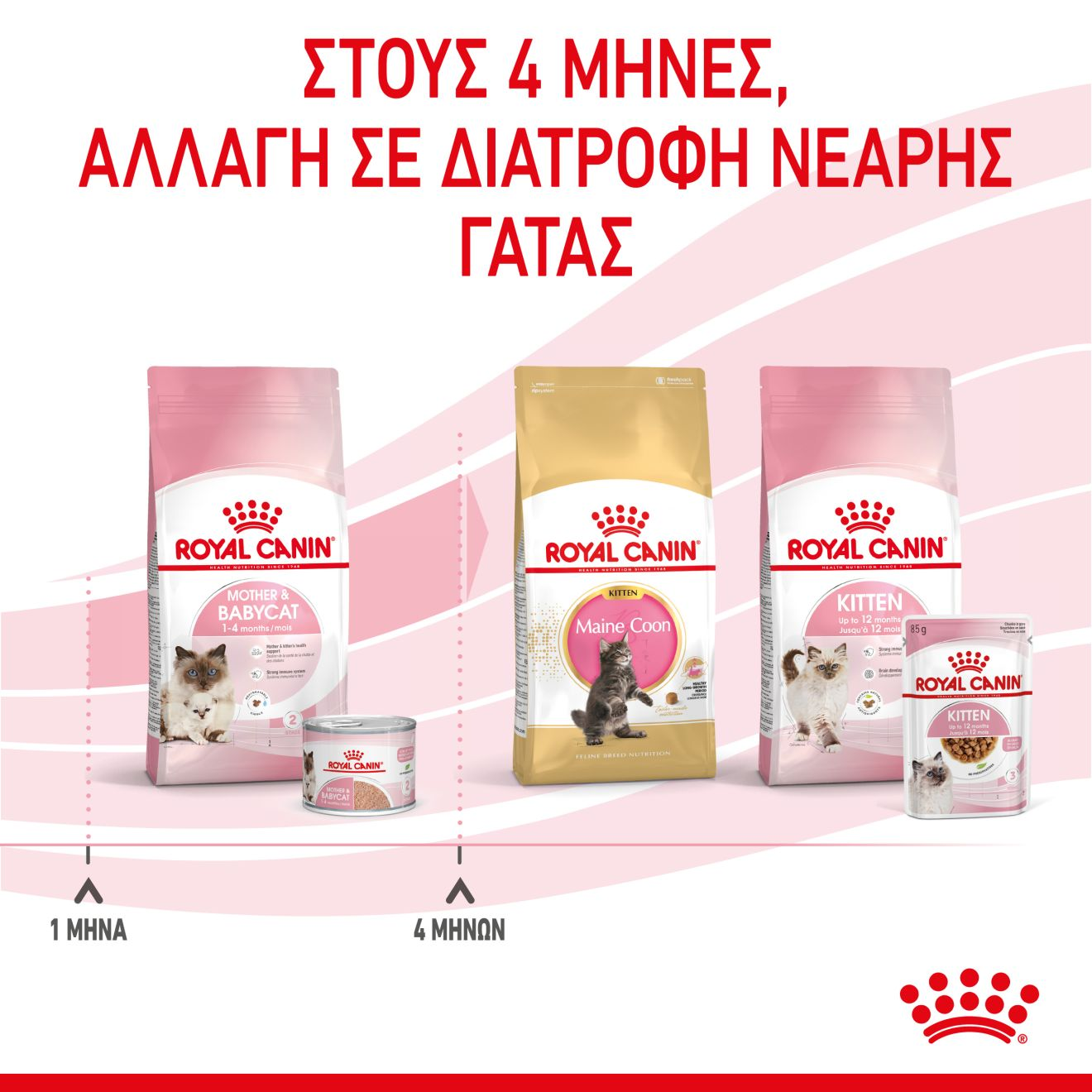 MOTHER & BABYCAT Ultra soft mousse