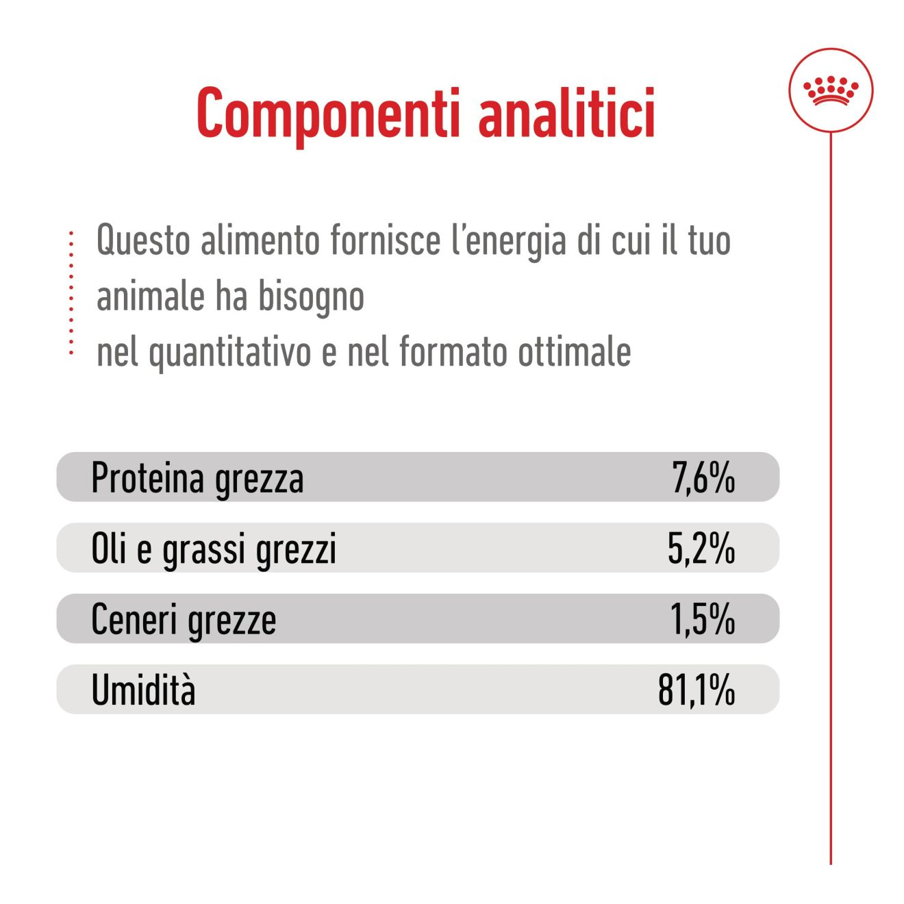 Mini Adult bocconcini in salsa
