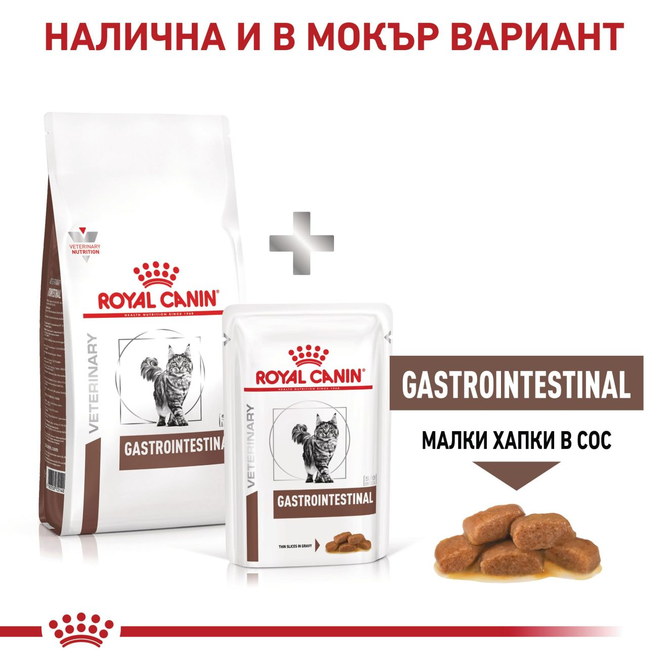 GASTROINTESTINAL