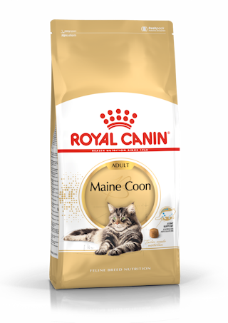 Royal Canin Maine Coon Adult kuivtoit