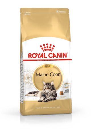 ROYAL CANIN Maine Coon Adult granule pro dospělé mainské mývalí kočky - nad 15 měsíců