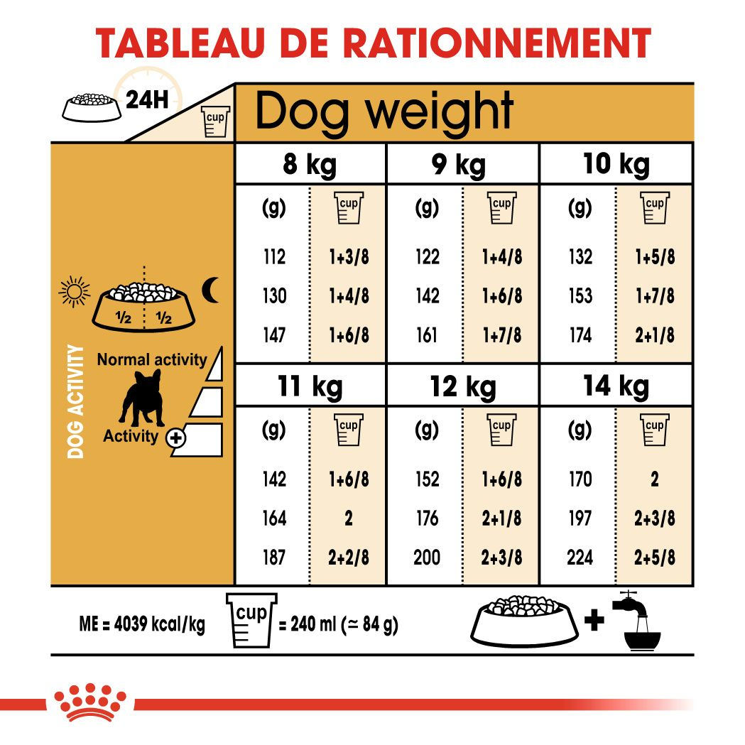 Bouledogue Français Adulte