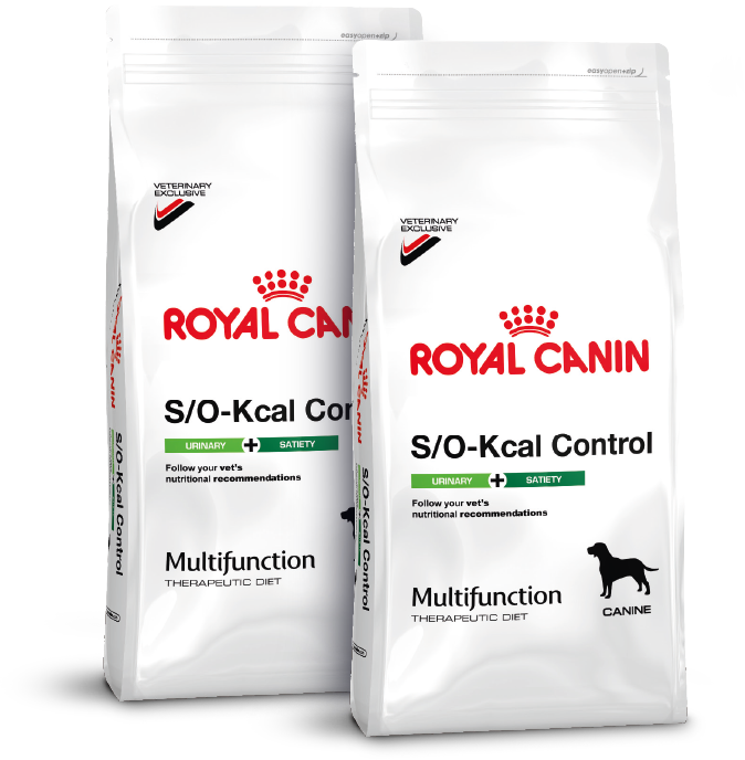  CANIN MULTIFUNCTION 低脂肪 3kg ROYAL CANIN MULTIFUNCTION 低脂肪低分子プロテイン3kg