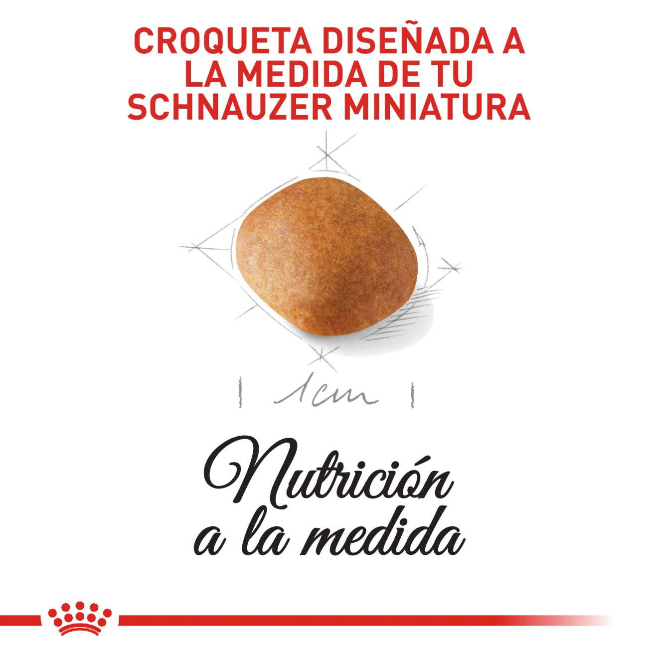 Schnauzer Miniatura Cachorro