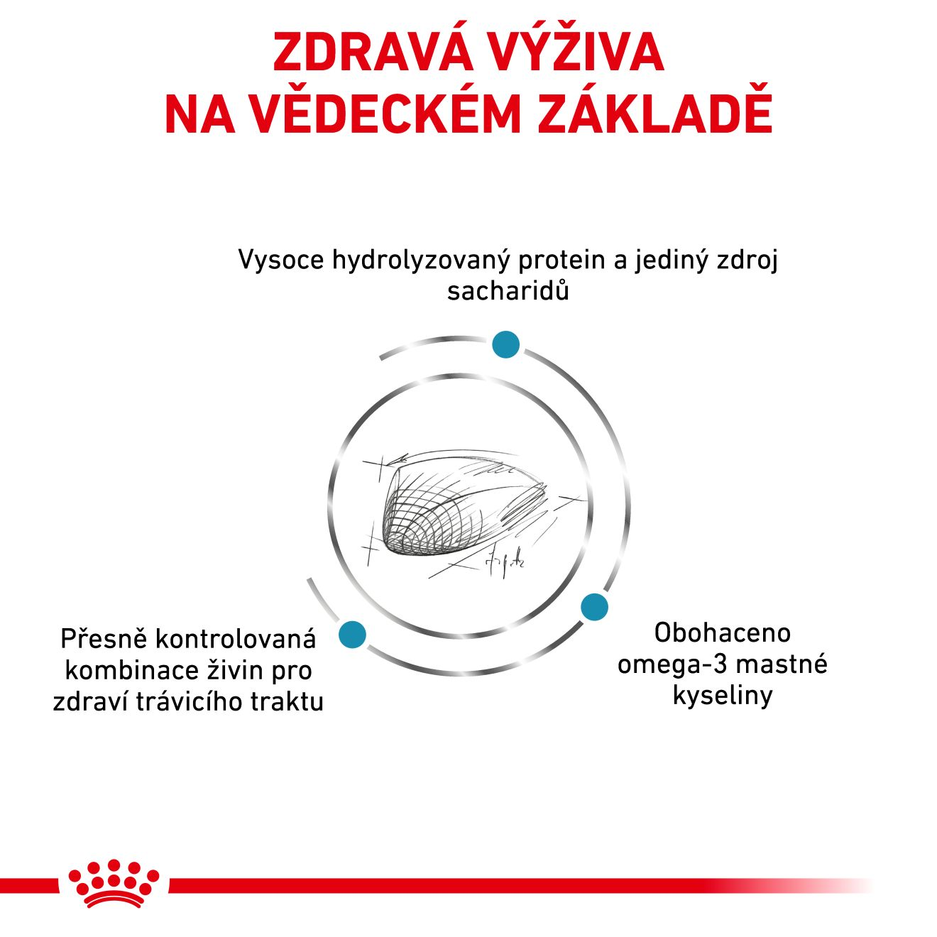 VHN Cat Hypoallergenic 