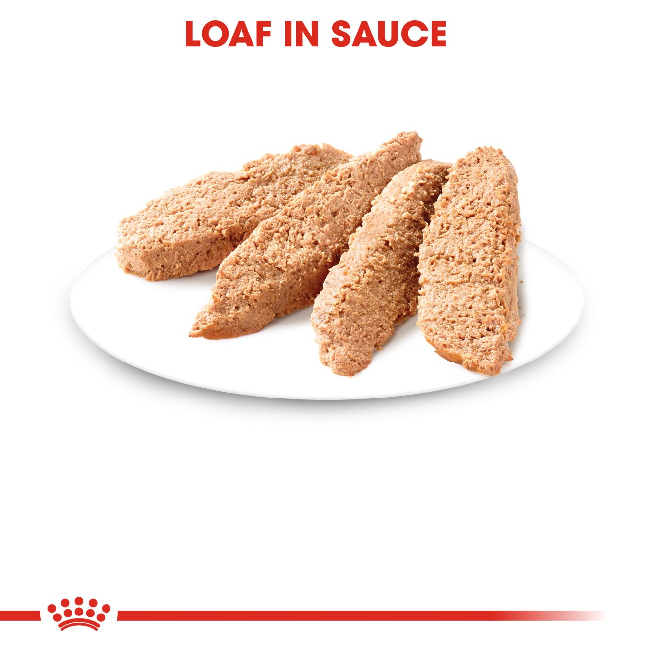 Royal canin kitten hot sale loaf in sauce