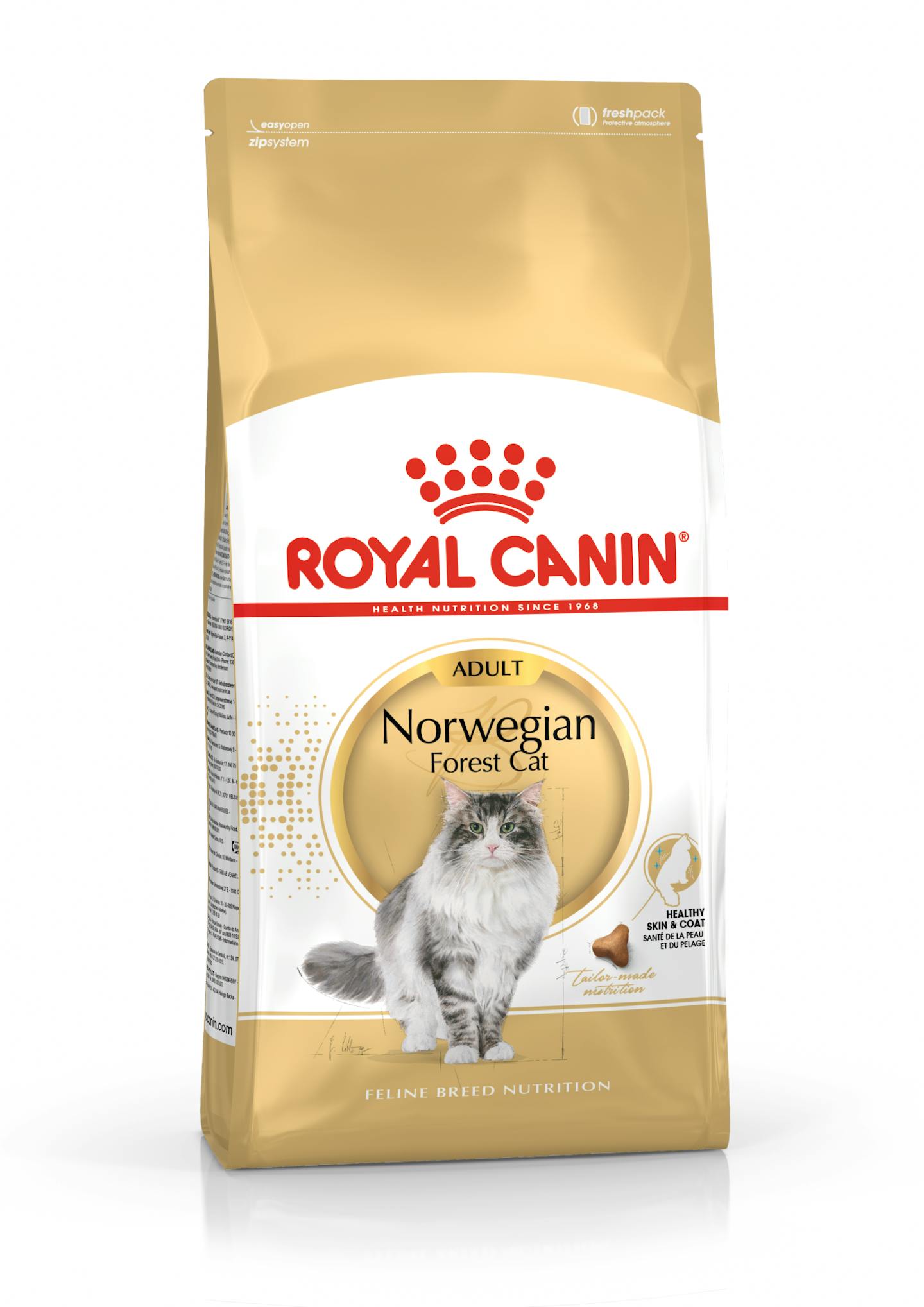 Siamese Adult dry Royal Canin