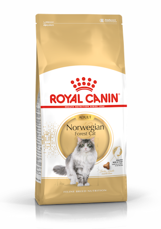 Royal Canin Norwegian Forest Cat Adult kuivtoit