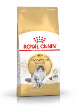 Norvégien Adulte