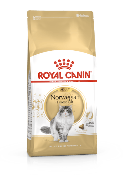 FBN2016_PACKSHOT_NORWEGIAN FOREST CAT