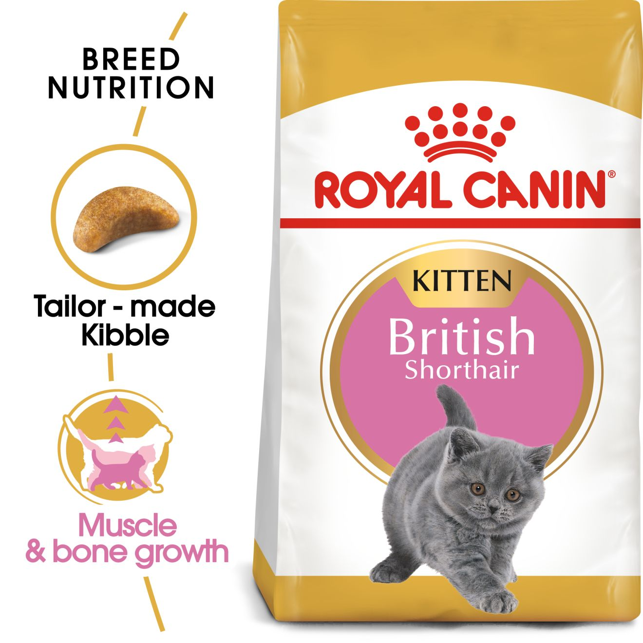 Royal canin shorthair kitten sales