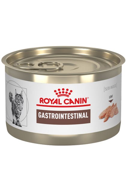 GastroIntestinal_Cat_WET_HANDYCAN