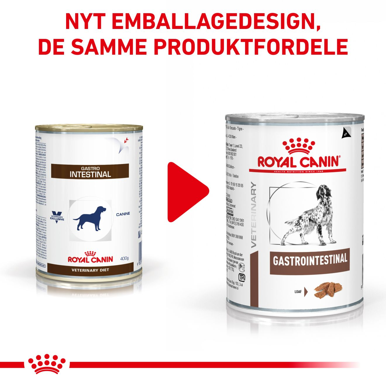 Gastrointestinal Loaf