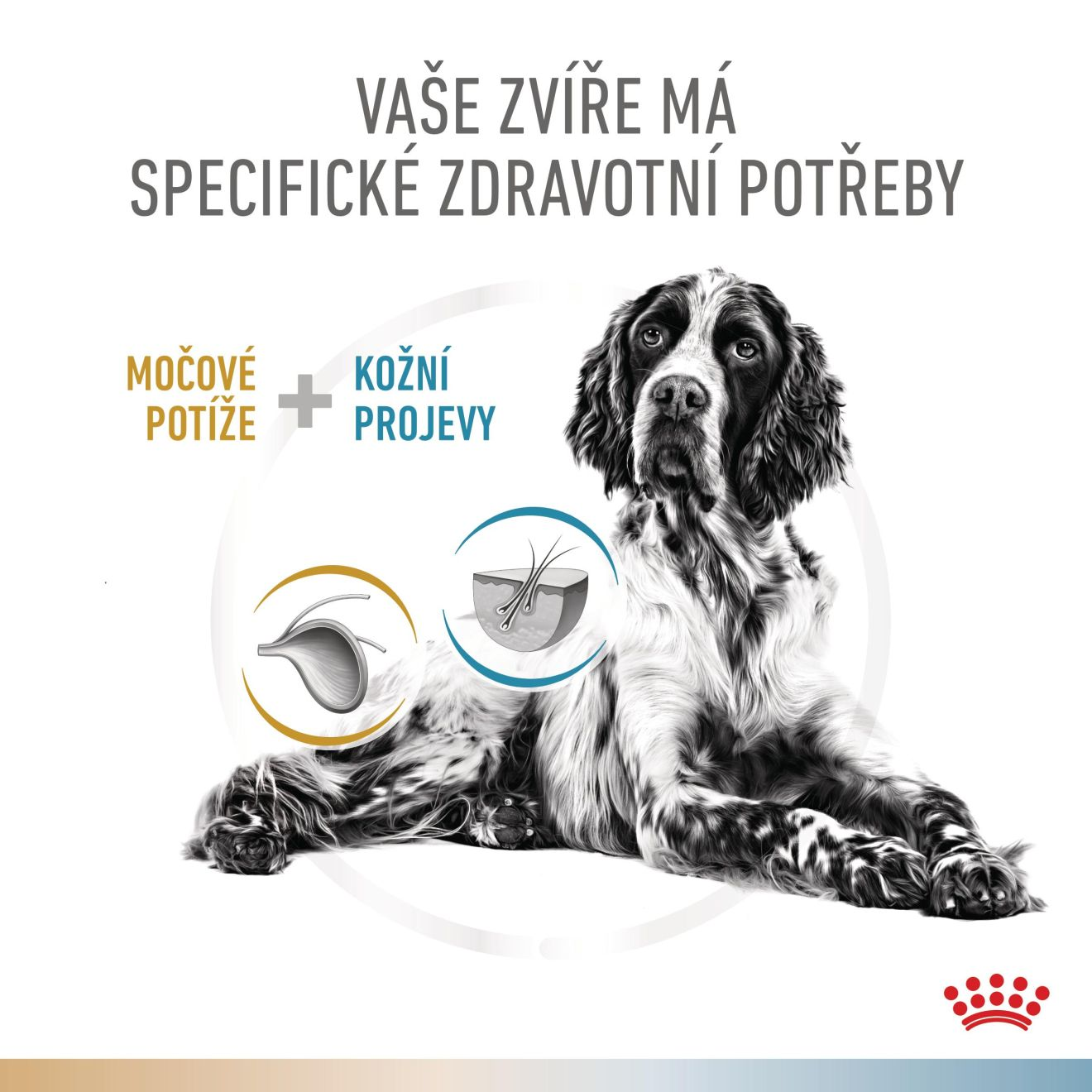 VHN Dog CA Urinary S/O-Hypoallergenic