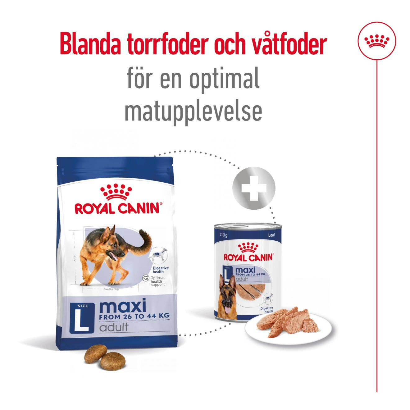 Maxi Adult