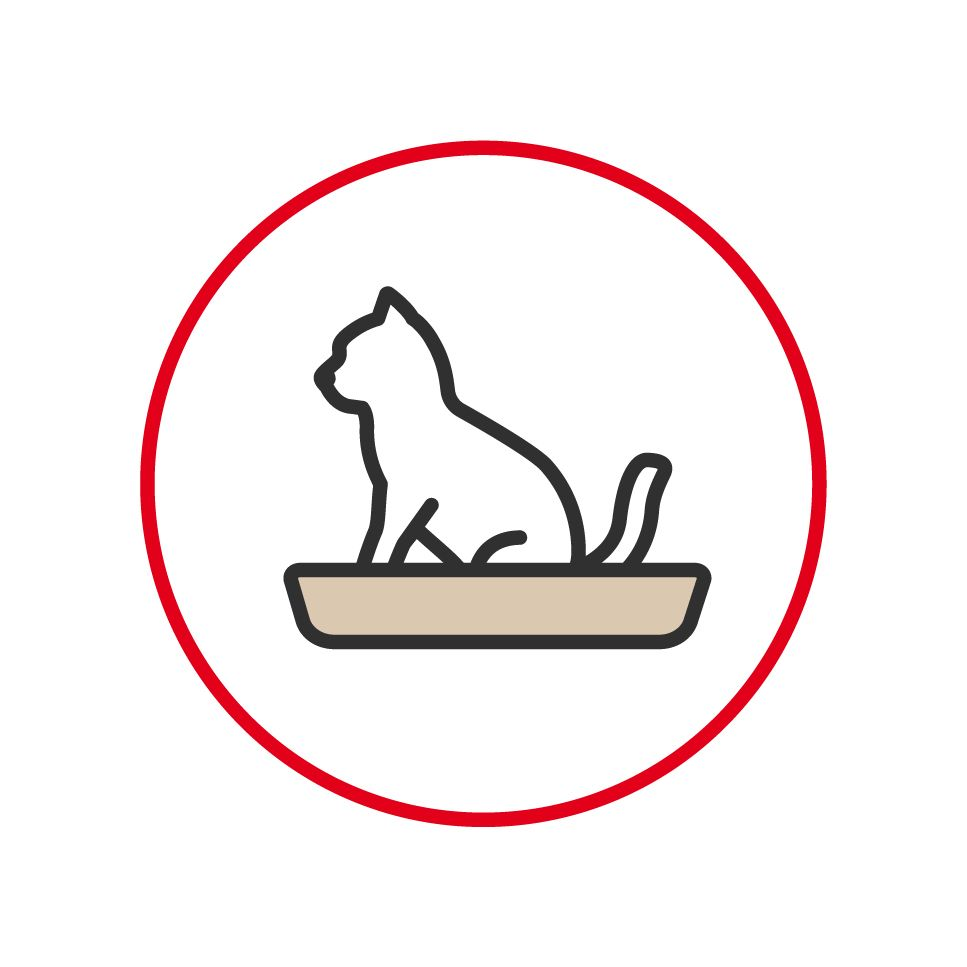 Illustration of a cat using a litter tray